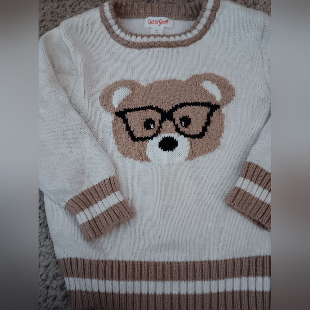 Absolutely Adorable Bear Sweater